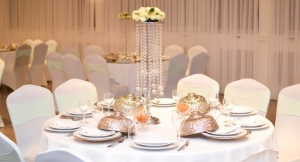 partycentrum-de-kroon-website