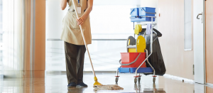 excellent-staffing-solutions-b-v-website